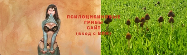 мескалин Аркадак