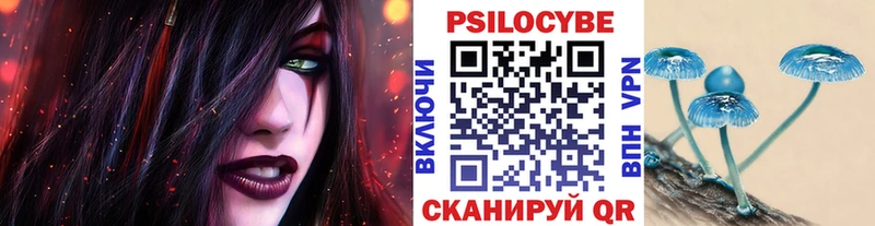 закладка  Белозерск  Галлюциногенные грибы Psilocybe 