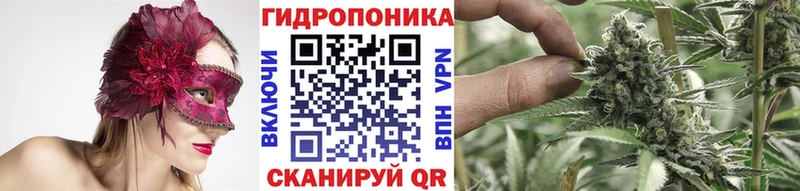 наркотики Белозерск Каннабис OG Kush